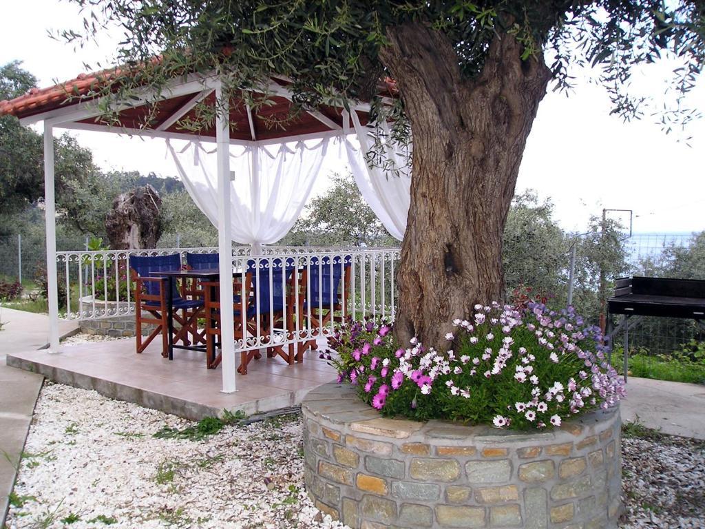 Golden Chrisi Ammoudia